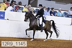 12r9_1145 proof