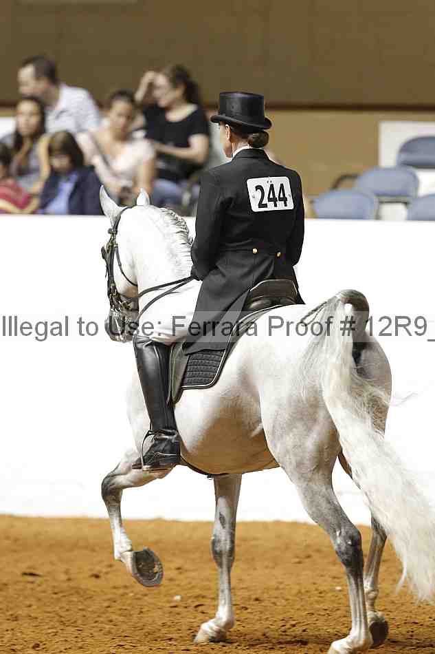 Proof 12r9_1148
