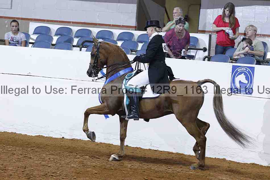 Proof 12r9_1163