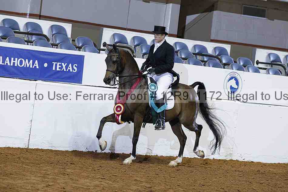 Proof 12r9_1172