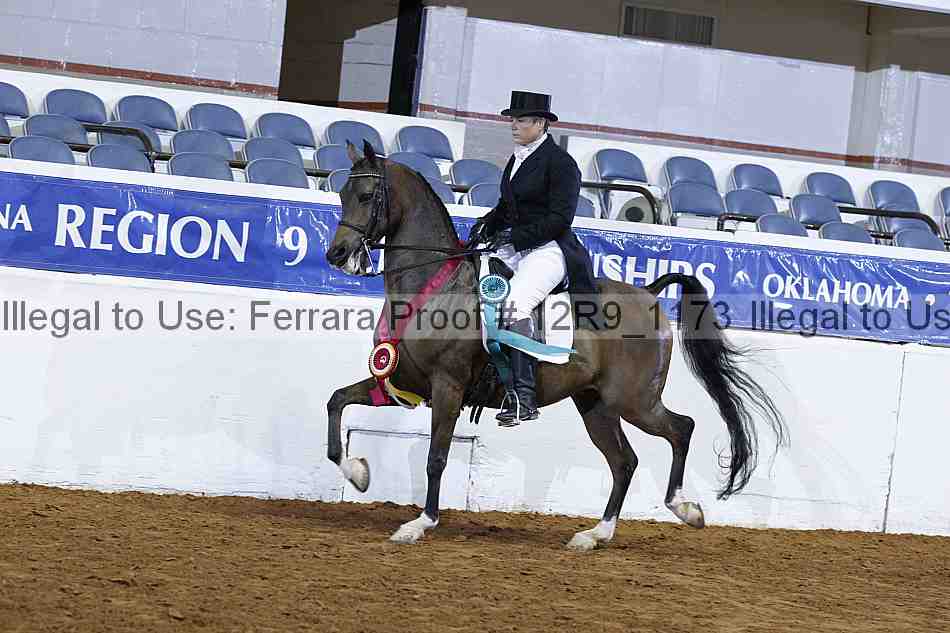 Proof 12r9_1173