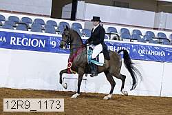 12r9_1173 proof