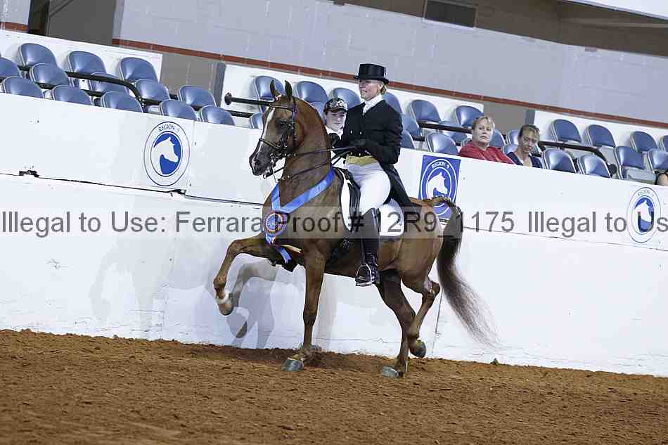 Proof 12r9_1175