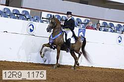 12r9_1175 proof