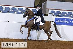 12r9_1177 proof