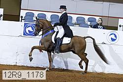 12r9_1178 proof