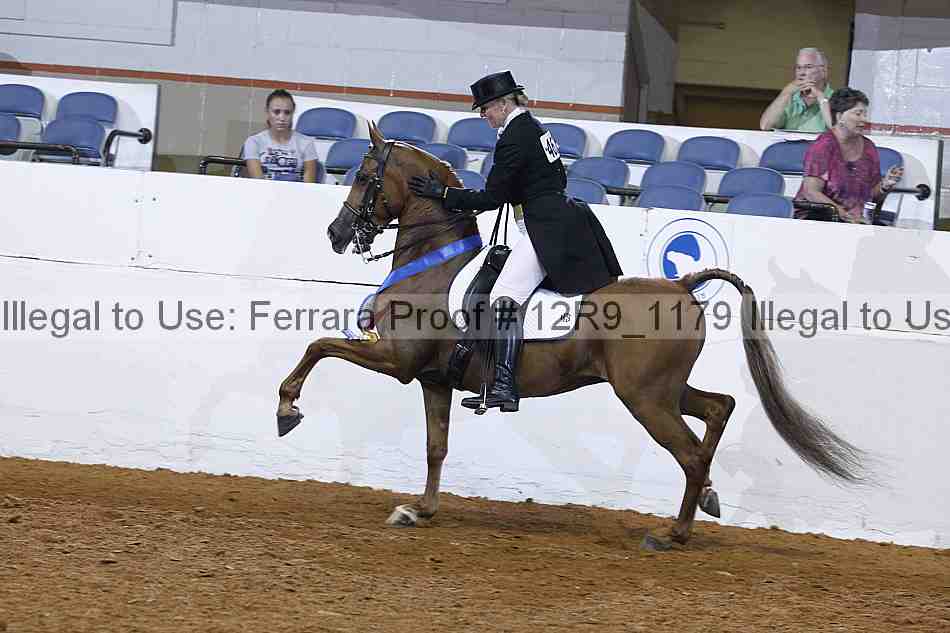 Proof 12r9_1179