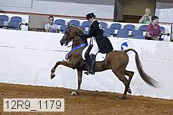 12r9_1179 proof