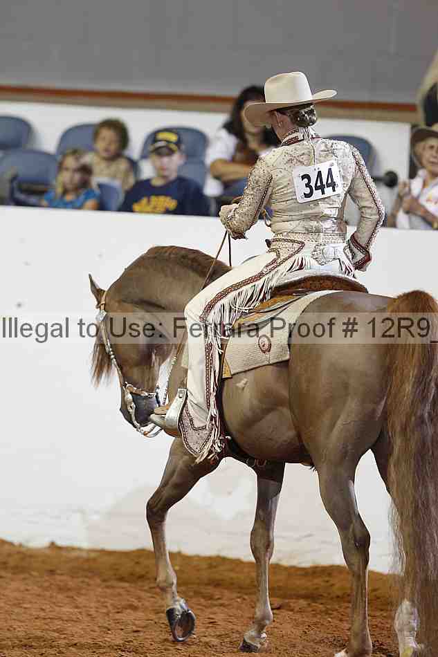 Proof 12r9_1187