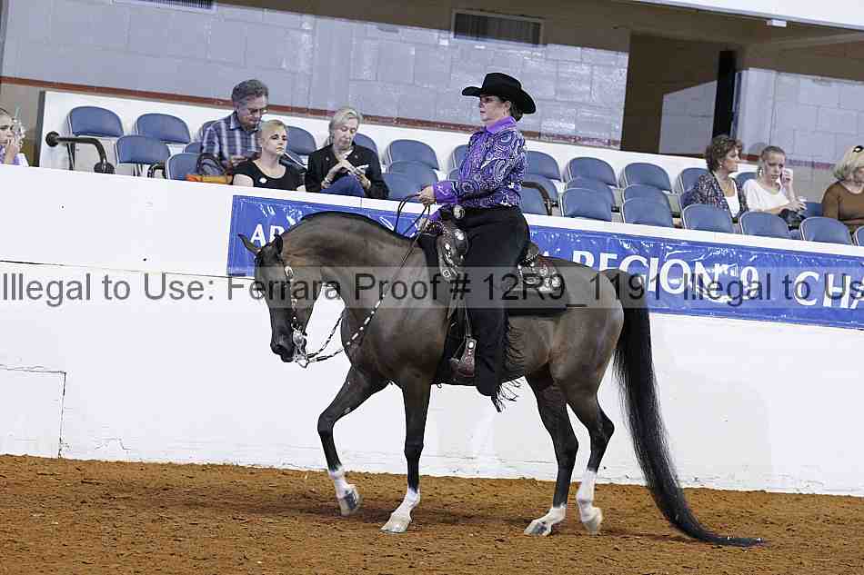 Proof 12r9_1191