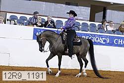 12r9_1191 proof