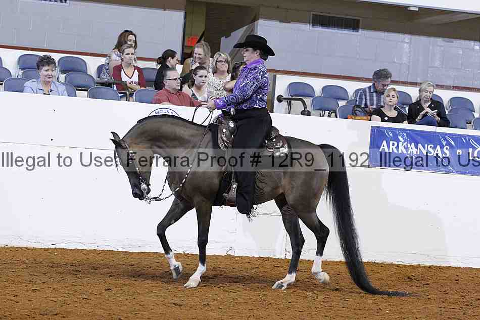 Proof 12r9_1192