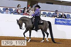 12r9_1192 proof