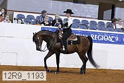 12r9_1193 proof