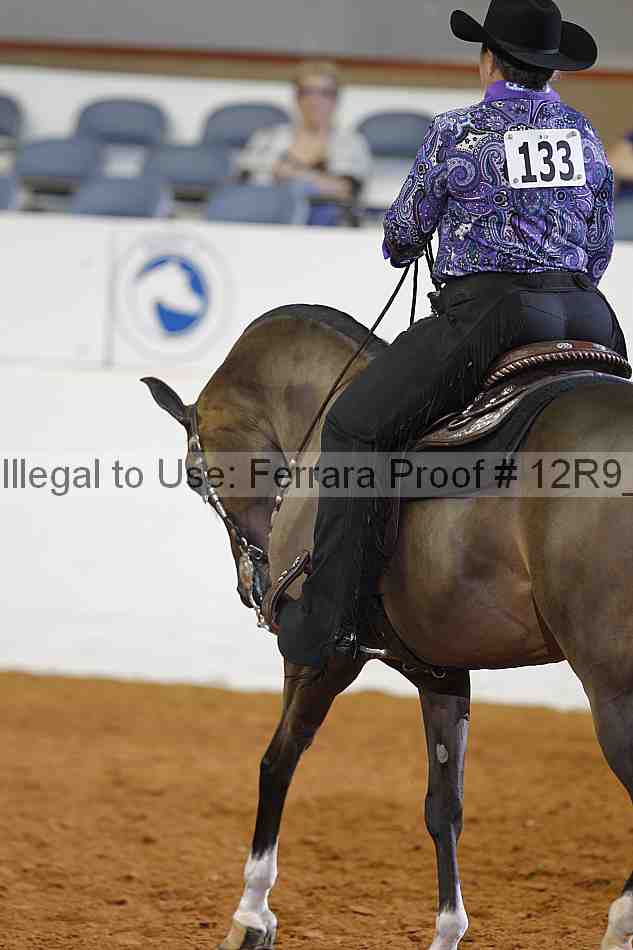 Proof 12r9_1194