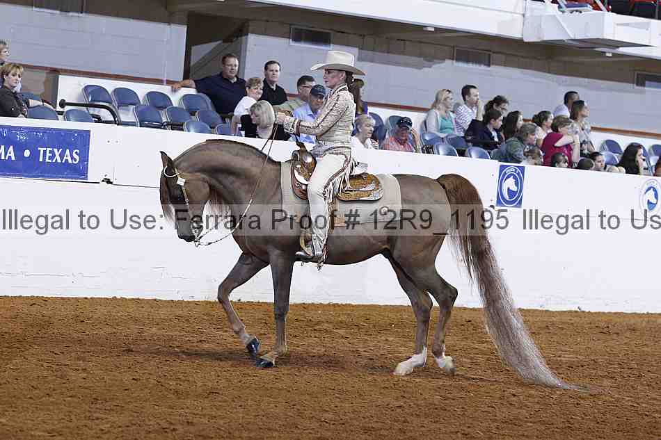 Proof 12r9_1195