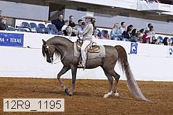 12r9_1195 proof