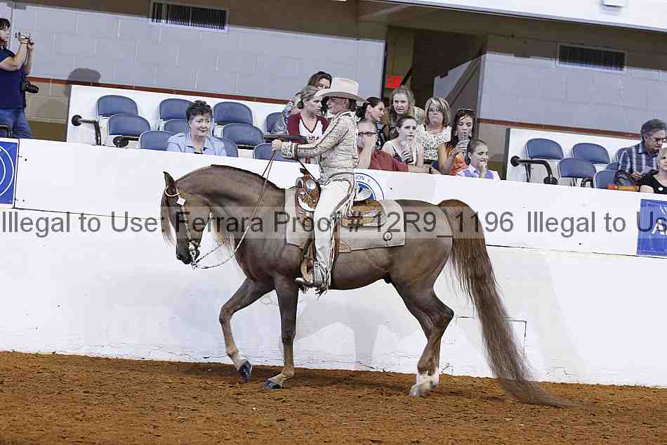 Proof 12r9_1196