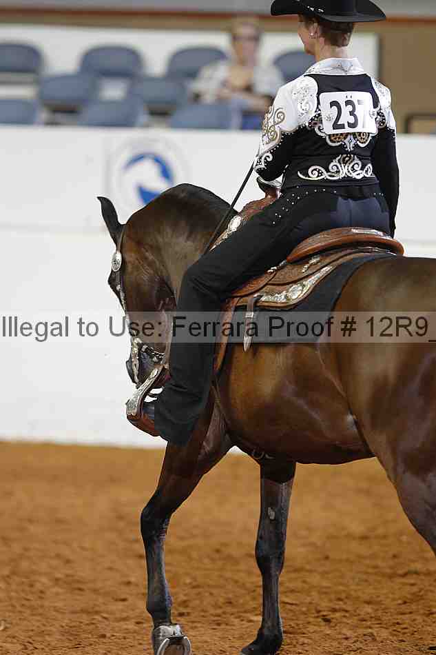 Proof 12r9_1197