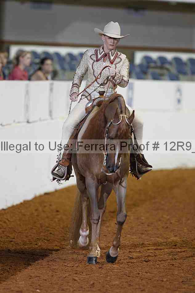 Proof 12r9_1198