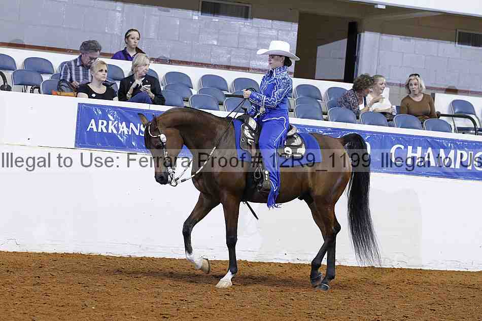 Proof 12r9_1199