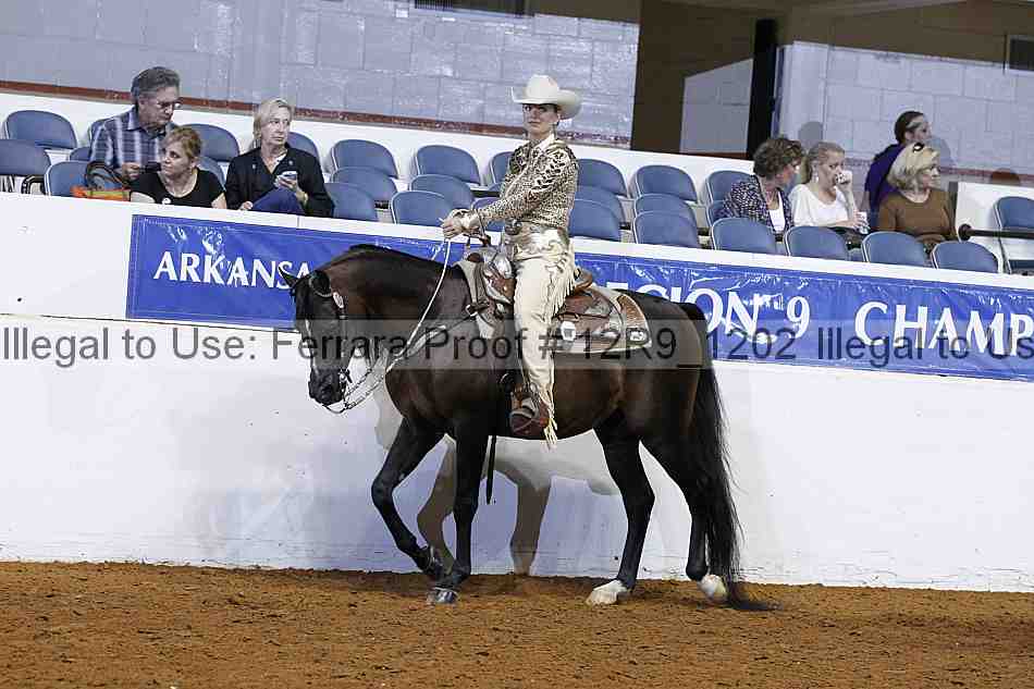 Proof 12r9_1202