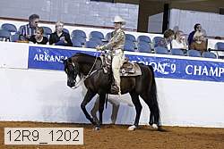 12r9_1202 proof