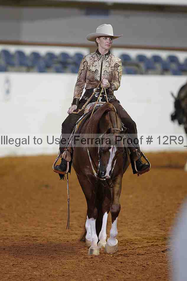 Proof 12r9_1204