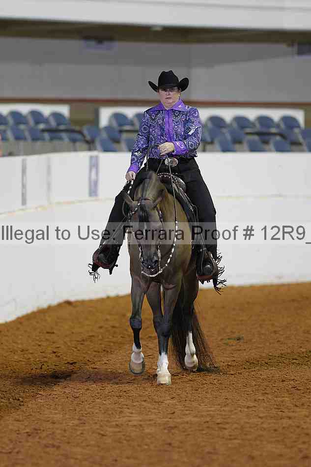 Proof 12r9_1206