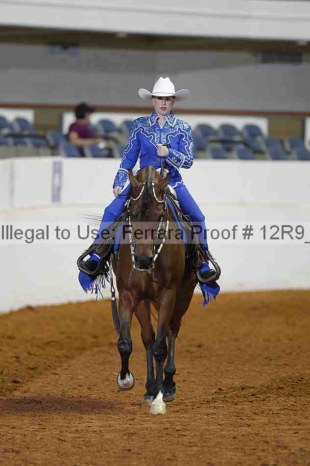 Proof 12r9_1219