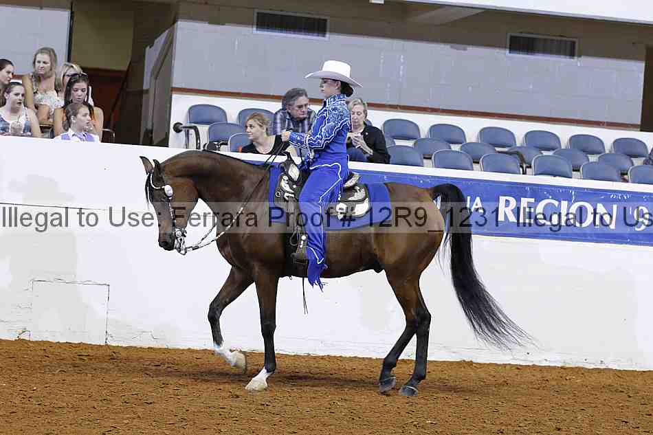 Proof 12r9_1231
