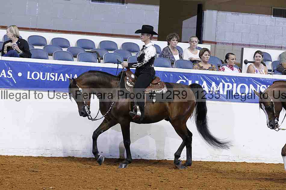 Proof 12r9_1235