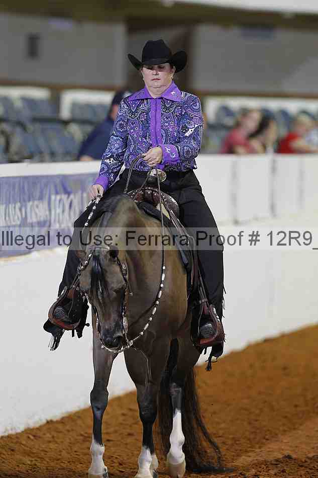 Proof 12r9_1243