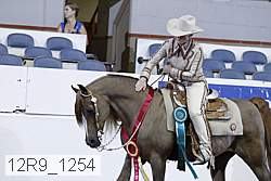 12r9_1254 proof