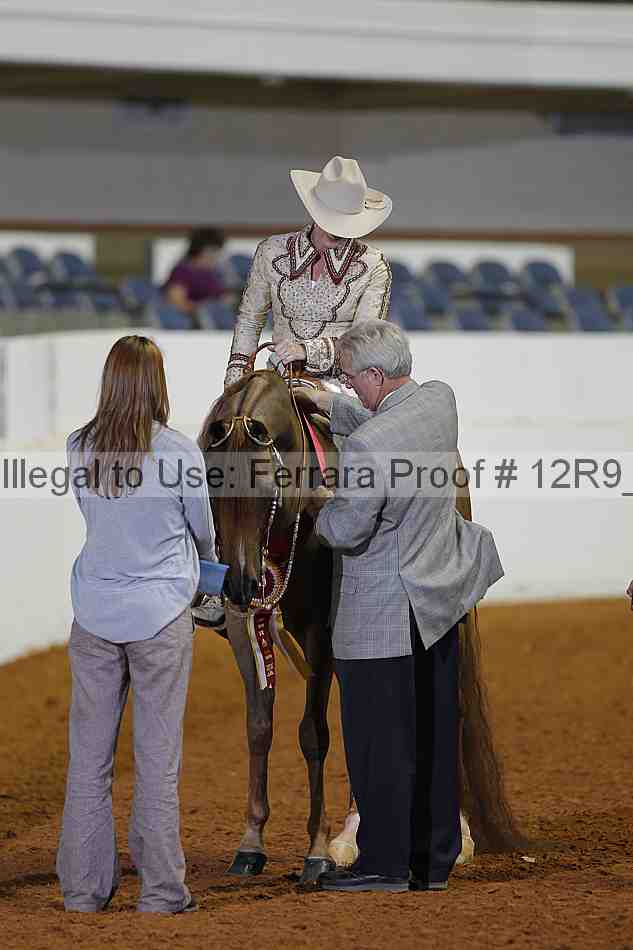 Proof 12r9_1255