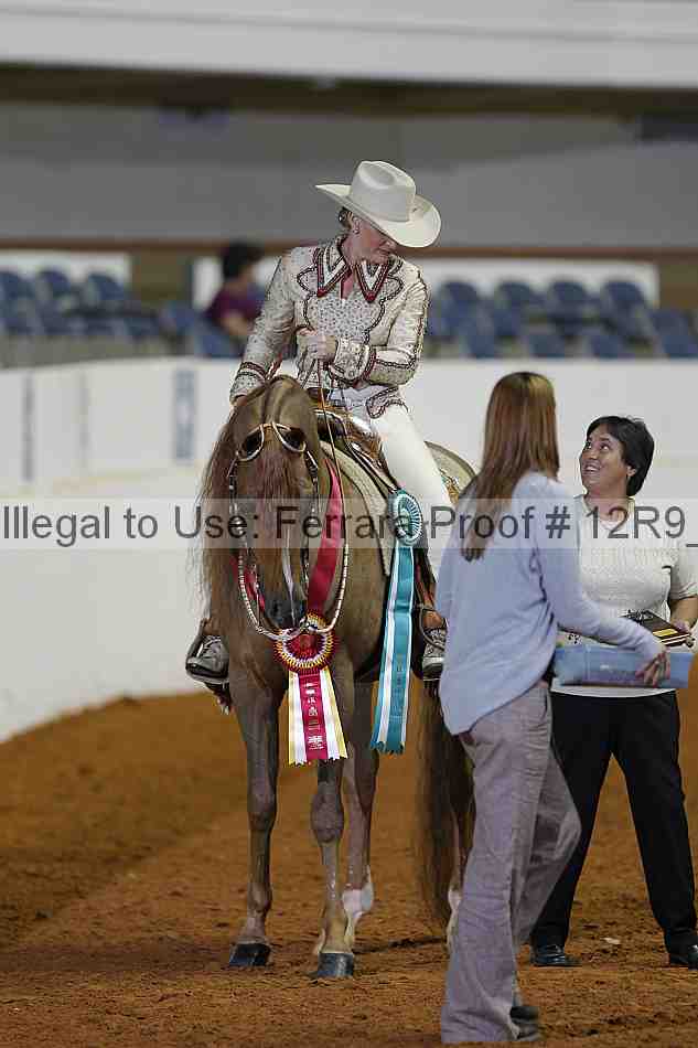 Proof 12r9_1256