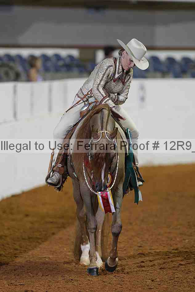 Proof 12r9_1258
