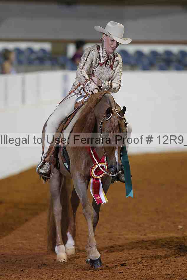 Proof 12r9_1259