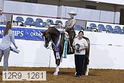 12r9_1261 proof