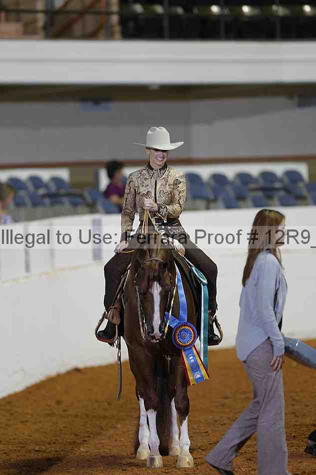 Proof 12r9_1263