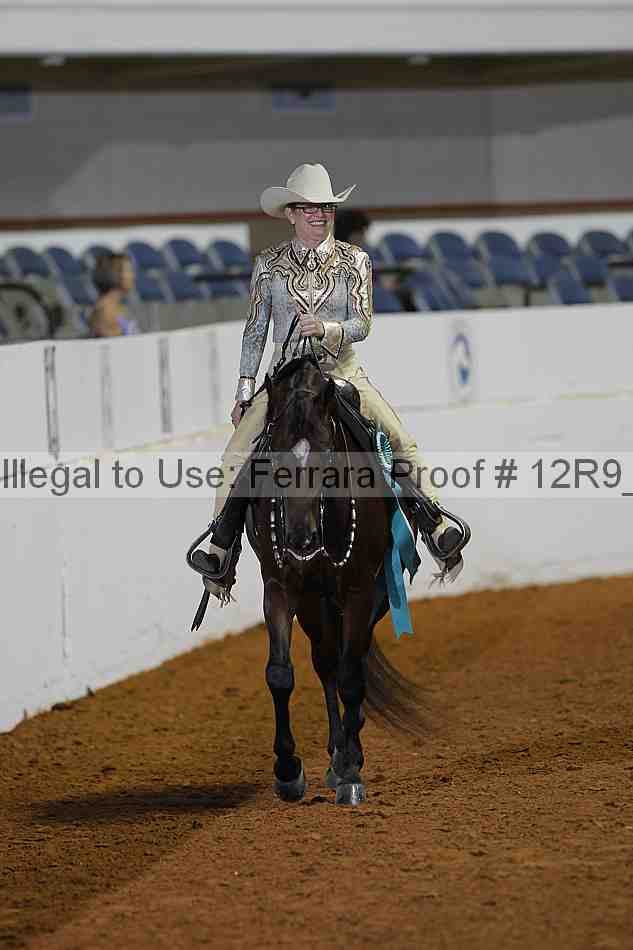 Proof 12r9_1270