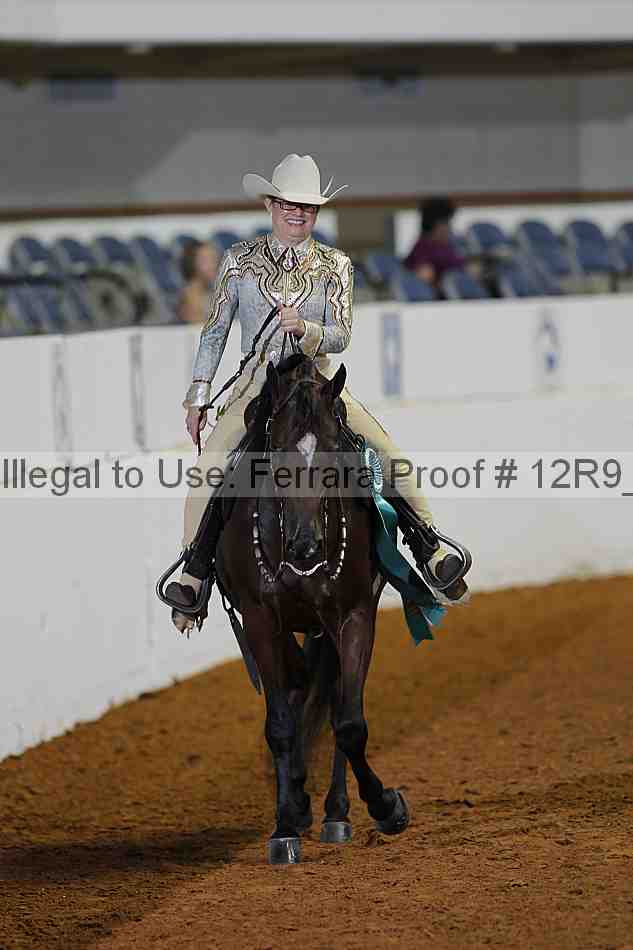Proof 12r9_1271