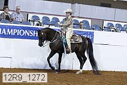 12r9_1272 proof