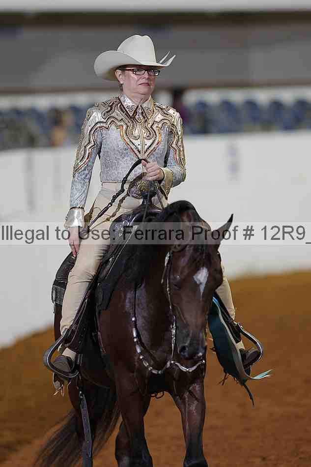 Proof 12r9_1273