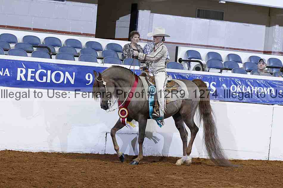 Proof 12r9_1274