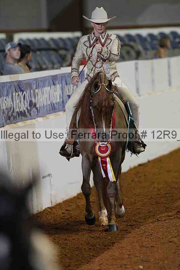 Proof 12r9_1282