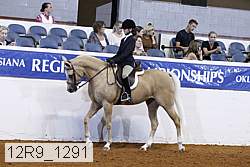 12r9_1291 proof