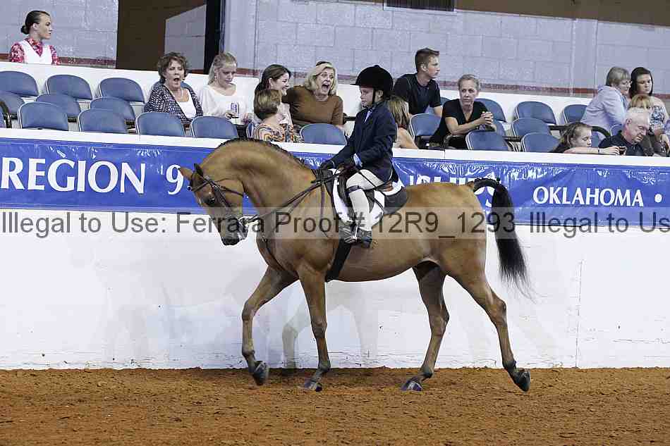 Proof 12r9_1293