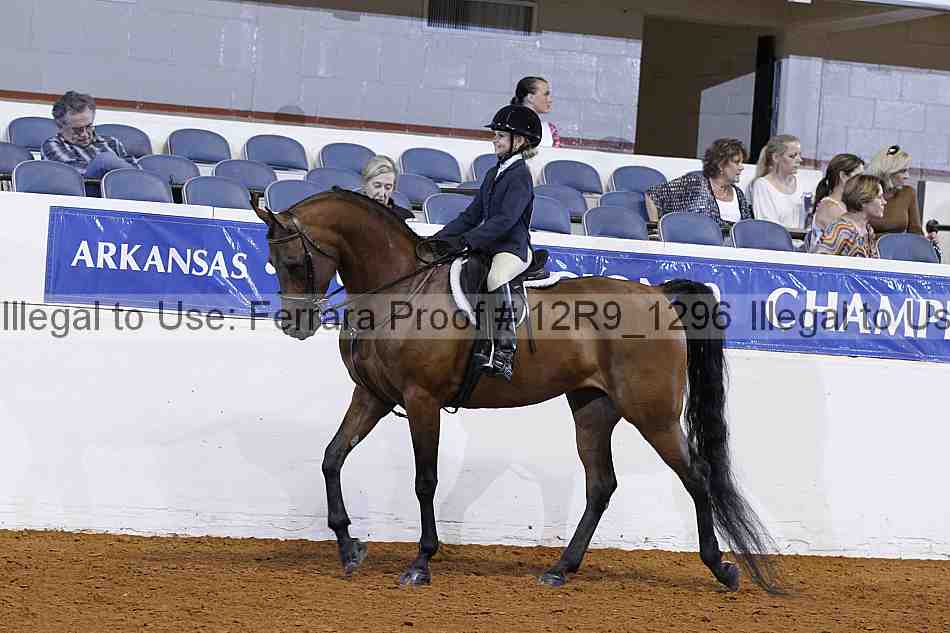 Proof 12r9_1296