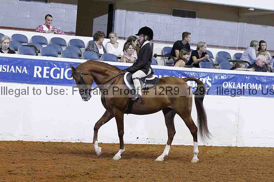 Proof 12r9_1297